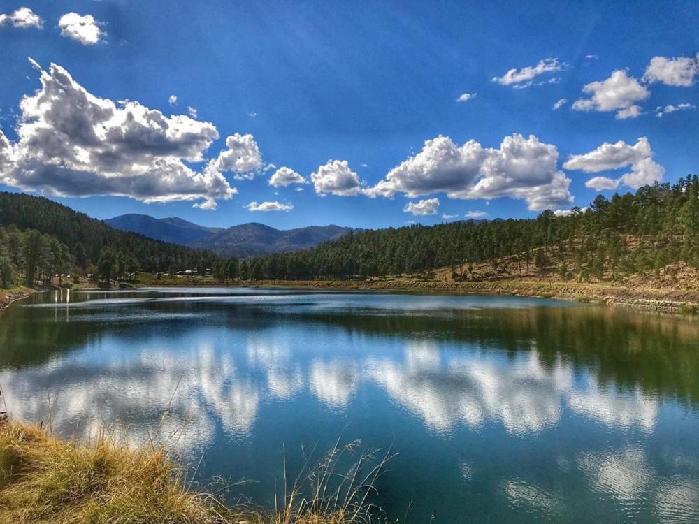 Oso Blanco Villa Ruidoso Luaran gambar